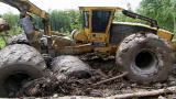 Swamp Loggers: Buried
