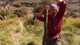 Dual Survival: Eel Meal