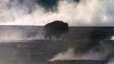 Outdoor Adventure: Yellowstone