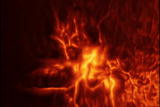 Assignment Discovery Shorts: Solar Flares