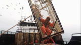 Deadliest Catch: Greenhorn in a Pot