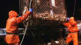 Deadliest Catch: Killer Pace
