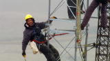 Dirty Jobs :One Crazy Job