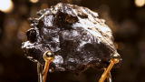 Auction Kings: Meteorite Man
