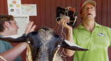 Dirty Jobs: What's Good for the Goat ...