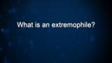 Curiosity: Jill Tarter: On Extremophiles