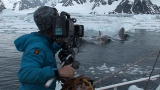 Frozen Planet: Tracking Killer Whales in Antarctica