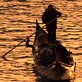 Discovery Atlas :Italy Revealed: The Gondola