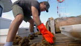 Dirty Jobs: The Amazing Buttless Sponge