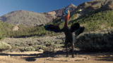 Dinosaur Revolution: Dancing Gigantoraptor