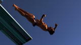 Time Warp: Elegant Divers