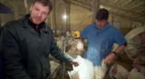 Dirty Jobs: Light It Up