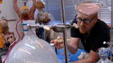 MythBusters: Octopus Pregnancy MiniMyth