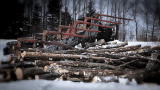American Loggers: The Big Push