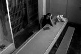 The Colony: Becka Behind Bars