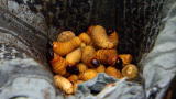 Dual Survival: Grubalicious