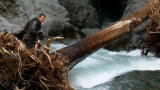 Man vs. Wild :A Trustworthy Tree