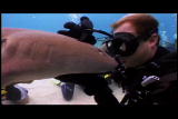 Shark Week: Top 10 Jaw-Dropping Shark Scenes