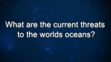 Curiosity: Jeff Koseff: Current Threats to the Oceans
