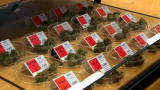 Weed Wars: Welcome to Harborside