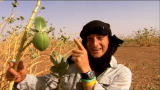 play video on Discovery Channel