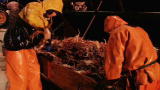 Deadliest Catch: Stuffing Crabs