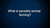 Curiosity: Nicolette and Bill Niman: Sensible Animal Farming