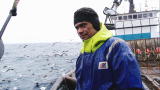 Chasing The Catch: Fishing For Phil