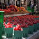 Earth: Urban Farms Grow Up
