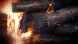 American Loggers: Truck Fire Terror
