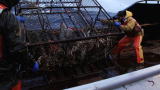 Deadliest Catch 9: Waves Pound the Seabrooke (Web Extra)