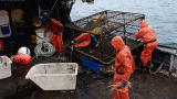 Deadliest Catch: Kodiak's Bittersweet Bounty