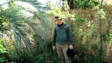 The Colony: Ants Attack Cameraman
