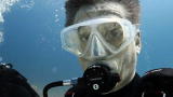 Shark Week: Craig Ferguson Dives In