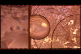 Assignment Discovery Shorts: Cell Elements