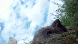 Hogs Gone Wild: Dog vs. Hog 4