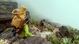 Out of the Wild: Venezuela: Treacherous Slope