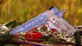 American Guns: Diamond Anniversary Gun
