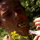 Man vs. Wild: Mustard Meal
