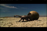 Dinosaur Planet: Alpha's Egg ()