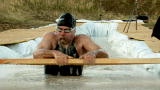 MythBusters: Great Walrus What?