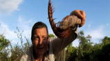 Man vs. Wild: Giant Centipede