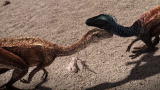 Dinosaur Revolution: Eoraptor Mating Crasher