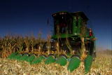 How Stuff Works: Corn Combine