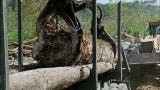 Swamp Loggers: Titanic Timber