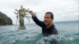 Man vs. Wild: Lobster Brains