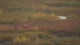 Best Bush Flying