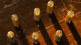 Bering Sea Gold: Gold Auction Fever