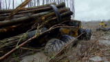 Swamp Loggers: Mud Trap