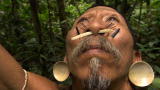 Hunting Monkeys With Blowpipes